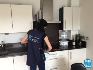 domestic cleaning London