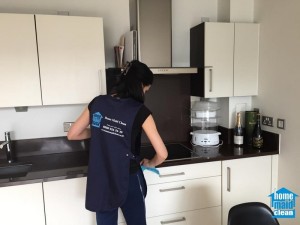 domestic London cleaning services London