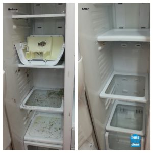 Spring cleaning fridge