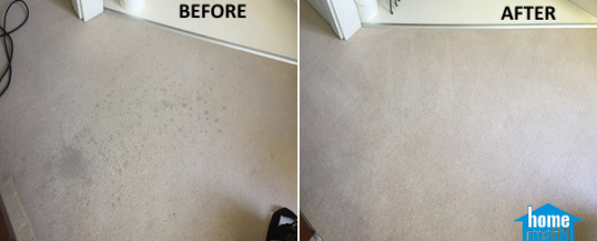 Cleaning of wine stains from a carpet in Halo Building Stratford, London E15