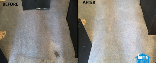 Ink stain carpet cleaning in Bloomsbury, London WC1B