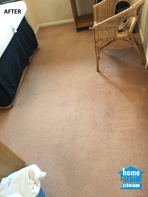 professional carpet cleaning