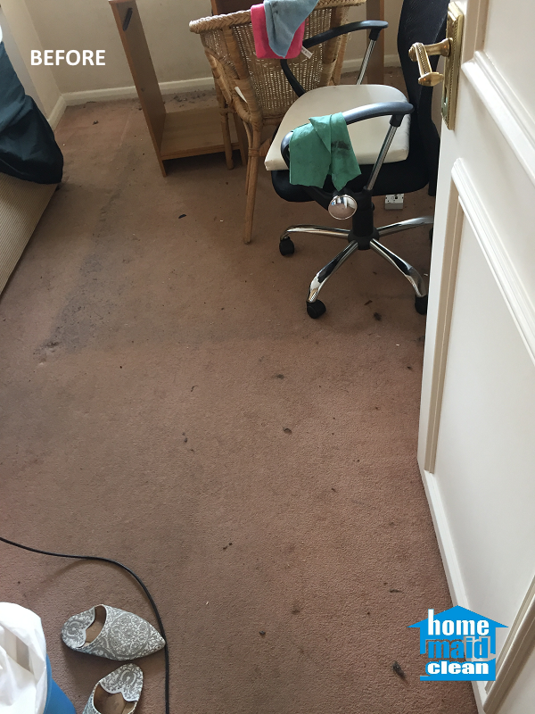 professional carpet cleaning