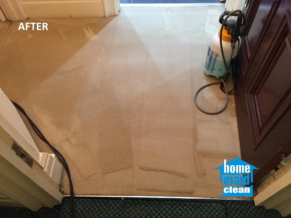 cleaning carpet stains