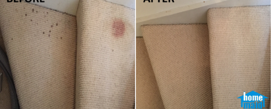 Cleaning blood-stained carpet in Wandsworth, London SW18