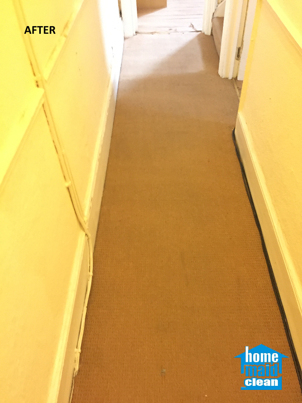 office carpet steam cleaning