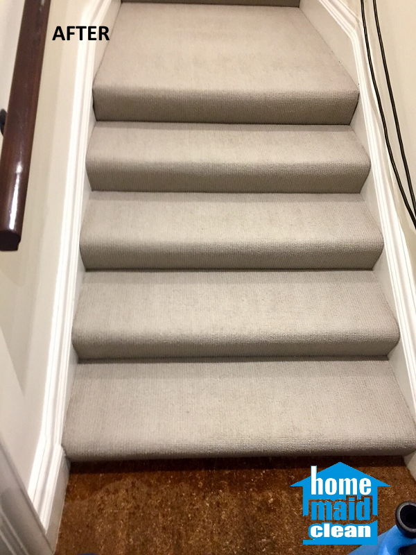 pet hair carpet cleaning